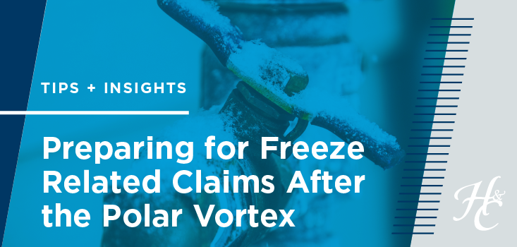 Abundance of Freeze Related Claims After the Polar Vortex